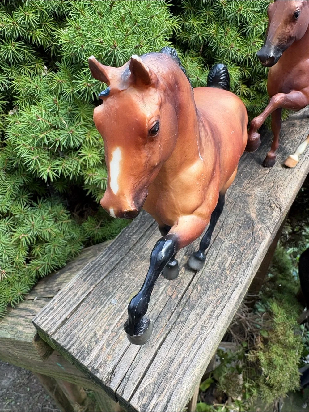 Breyer pair le